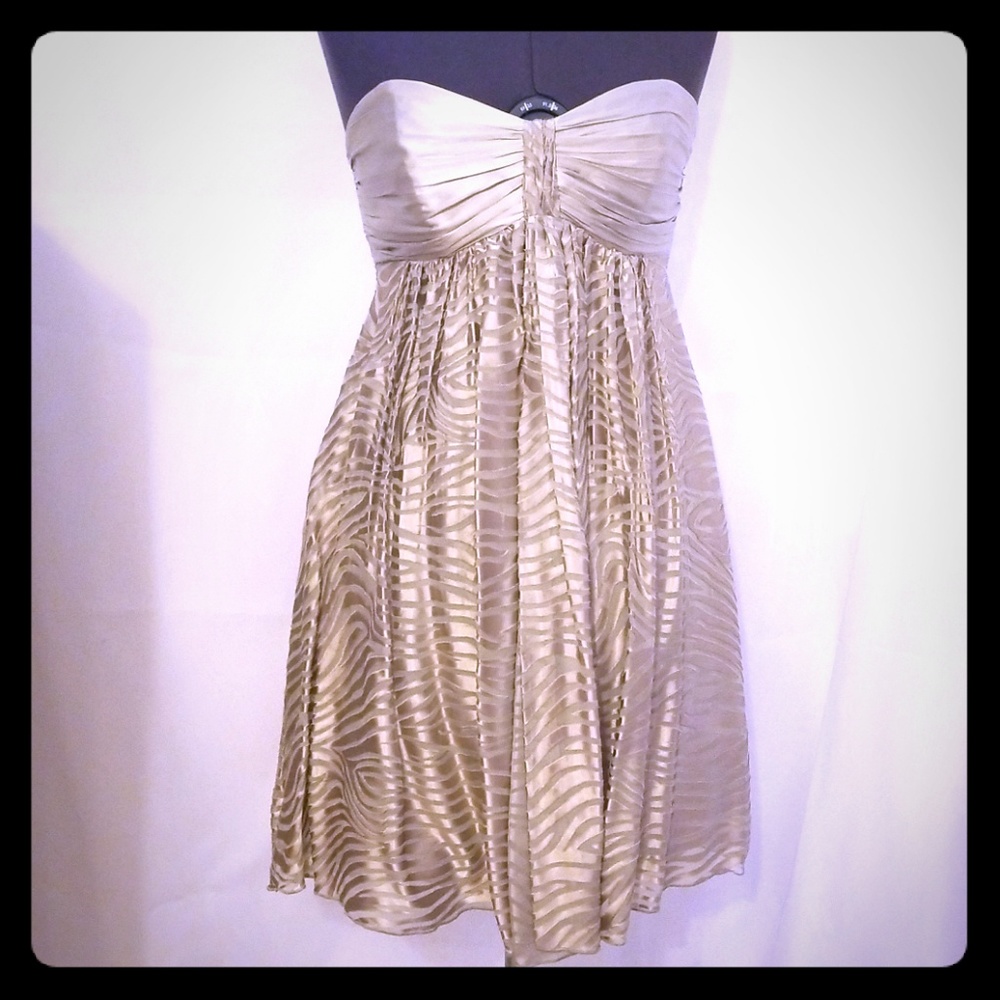 Express silver dress